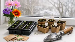 Sommerblumen im Januar vorziehen: Cosmea, Gazanie und Verbene für hitzefeste Beete