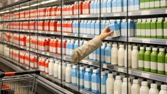 Vollmilch oder fettarme Milch: Welche ist im Alltag die bessere Wahl