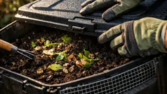 Ratten im Kompost? So machst du deinen Komposter in 6 Schritten rattensicher