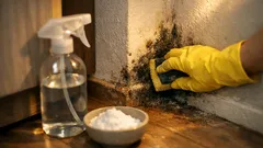 Schimmel entfernen ohne Chemie: Essig und Natron richtig anwenden